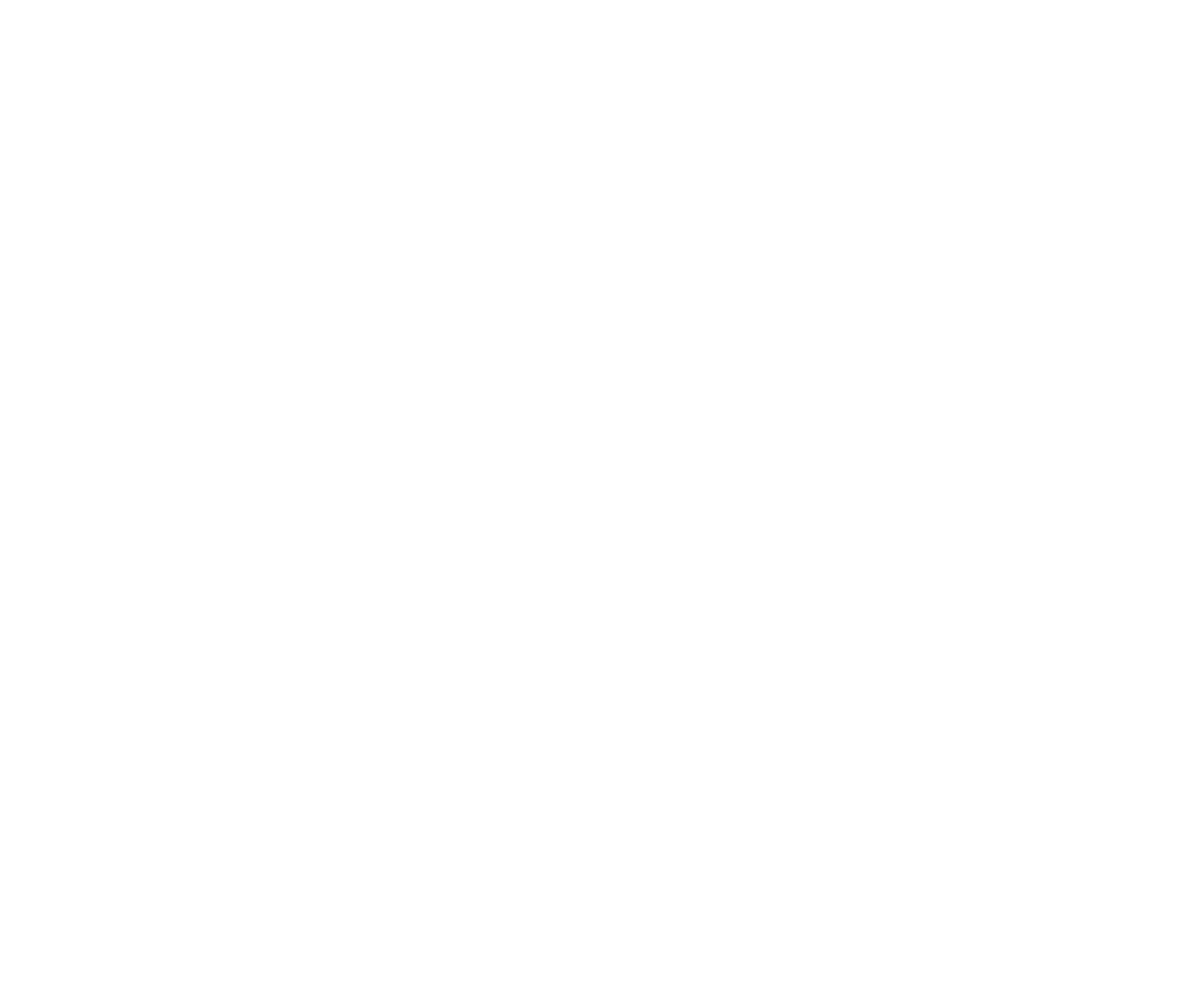 IUB footer logo